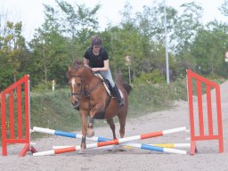 IMG_0561_web